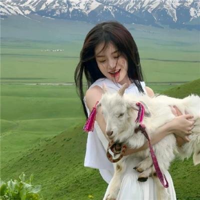 花姊妹风流债海报