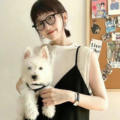 老白男不难海报